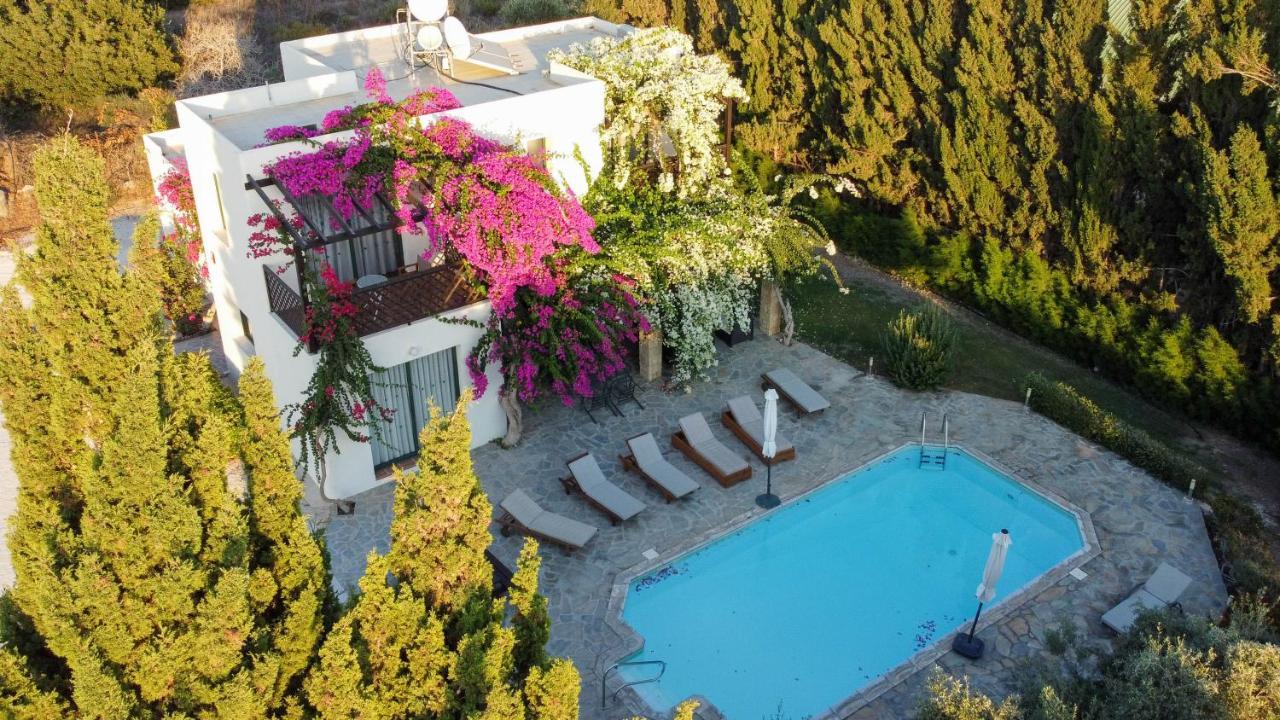 Paphos Banana Sunset Villas מראה חיצוני תמונה