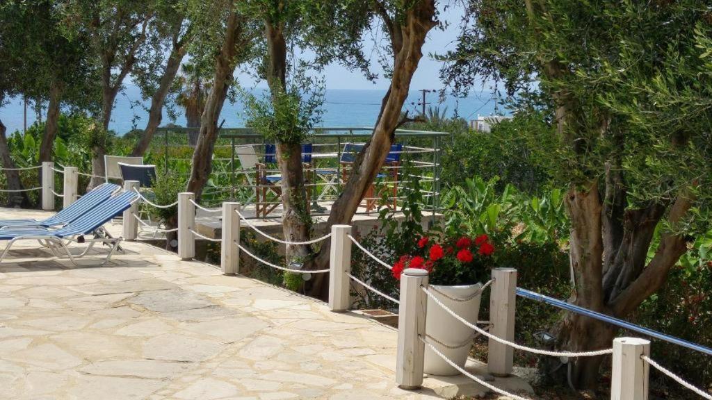 Paphos Banana Sunset Villas מראה חיצוני תמונה