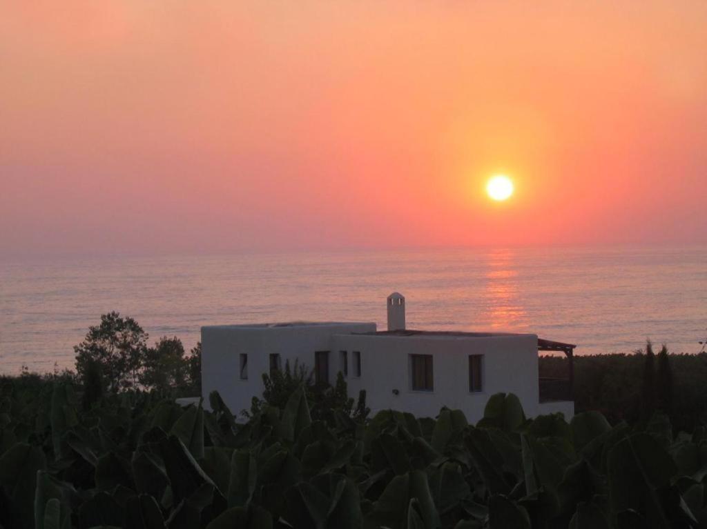Paphos Banana Sunset Villas מראה חיצוני תמונה