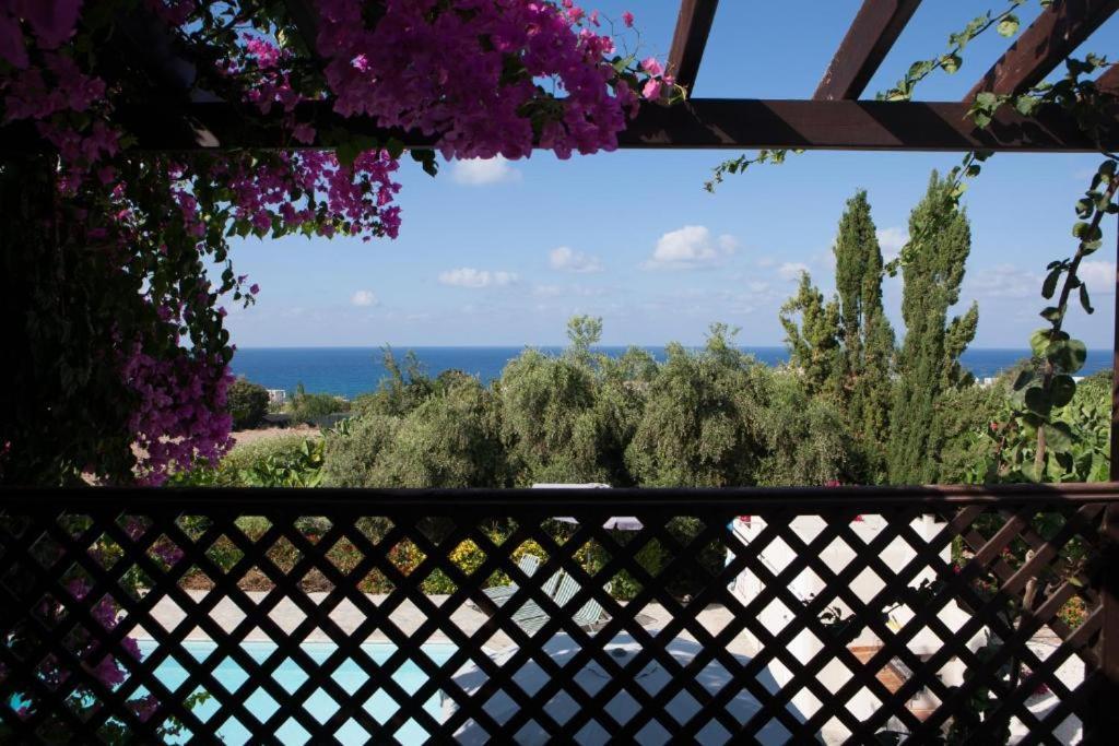 Paphos Banana Sunset Villas מראה חיצוני תמונה