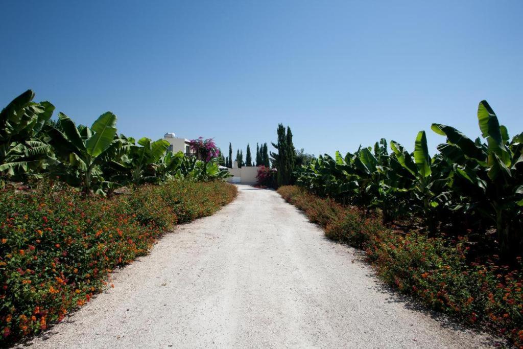 Paphos Banana Sunset Villas מראה חיצוני תמונה