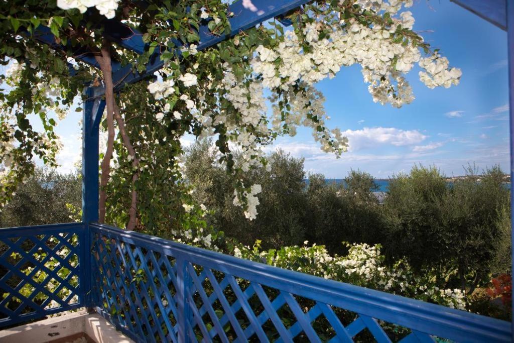 Paphos Banana Sunset Villas מראה חיצוני תמונה